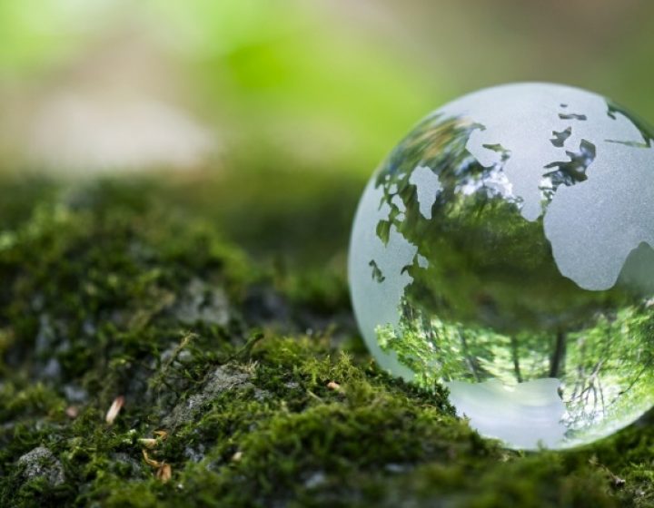 evironment evironment